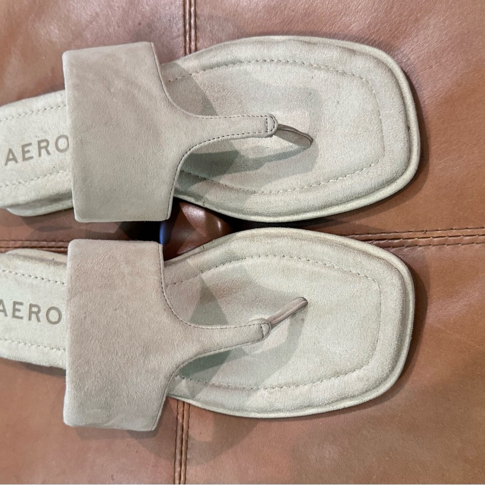 AEROSOLES Slides